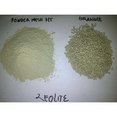 zeolite