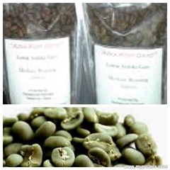 gayo arabica