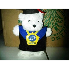 bear wisuda