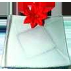 intan glassware ps106