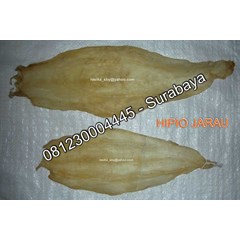 fish maw jarau / gelembung ikan jarau