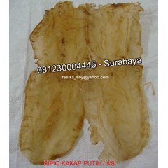 fish maw kakap putih ( baramundi ) / gelembung ikan kakap putih ( baramundi)