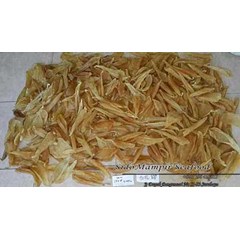gelembung ikan gulama