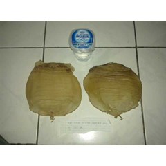 gelembung ikan kakap china / fish maw kakap china