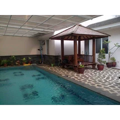 kolam skimmer