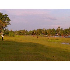 lapangan golf mini