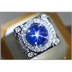elegant royal blue safir star ( sps 141)