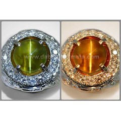 alexanderite cat' s eye + big ( rax 039)