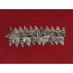 hairclip small shell / penjepit rambut kerang kecil coklat
