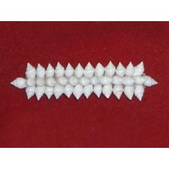 hairclip with white small shell / penjepit rambut dengan kerang kecil putih