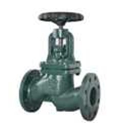 globe valve 