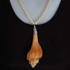 natural necklace with best clap / kalung dengan kerang alami