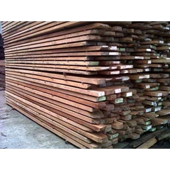 kayu duren burung