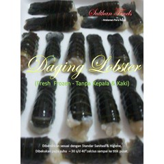 daging lobster konsumsi ( red claw) frozen