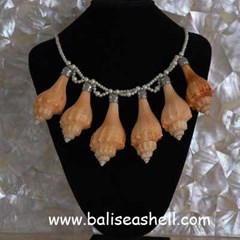 shell natural shape art jewelry necklace / kalung kerang natural