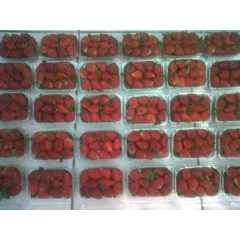 strawberry organic kemasan 500gr