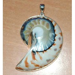 seashell pendants crafts jewelry / liontin kerang perak kalung nautilus
