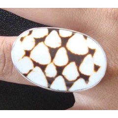shell ring conus / cincin kerang perak conus