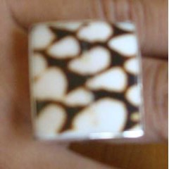shell conus ring with silver / cincin kerang kotak dengan perak dan conus