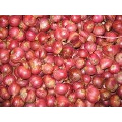 bawang merah