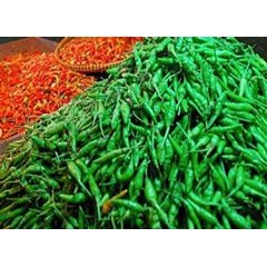 cabe rawit hijau