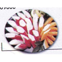 crab flake