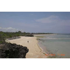 pantai kawona, sumba barat daya