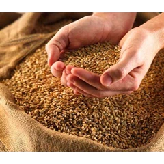 smarkit rapid test in feed