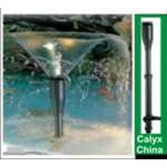 calyx china