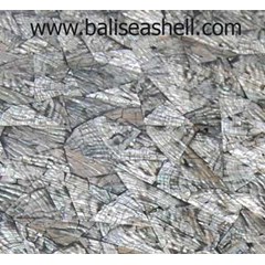 lantai abalon 100x100cm