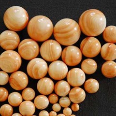 manik bulat kerang cassis