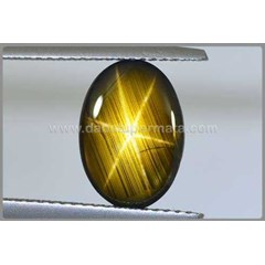 elegant super strong golden safir star ( bsg 025)