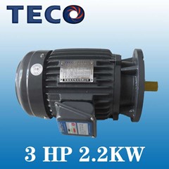 teco