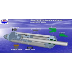 hydraulic seals