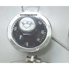 thermostat ego