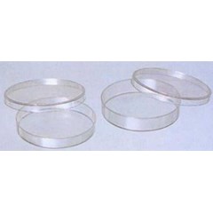 bacterial petri dish