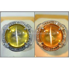 exclusive change colour quarsberyl cat' s eye - ce 117
