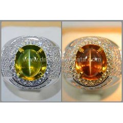 elegant honey alexandrite cat' s eye cristal mulus - rax 051