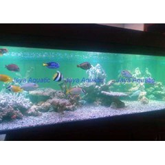 aquarium uk. 3 x 2 x 1 meter.