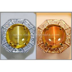 exclusive alexandrite cat' s eye chrysoberyl - rax 053
