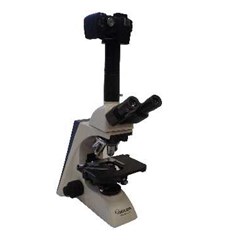 microscopes - compound