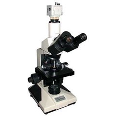 microscopes - compound