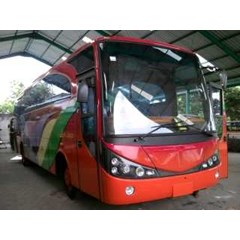 bus pariwisata