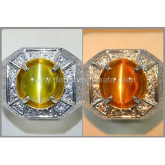 natural alexandrite cat' s eye chrysobefy nh - rax 056