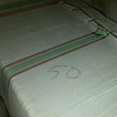 * * daun cincau* * ( cyclea barbata)