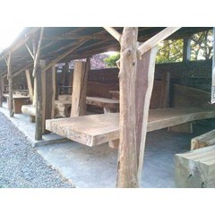 kayu trembesi suar