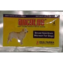 obat cacing anjing ancylos