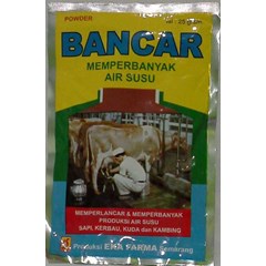 obat lancar susu sapi kerbau bancar