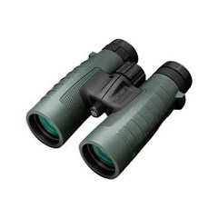 bushnell trophy xlt 8x 42mm