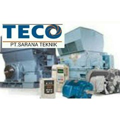teco electric motor high voltage motor hv